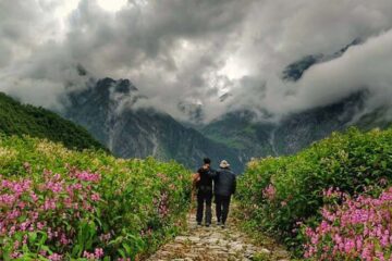 Valley-of-flowers
