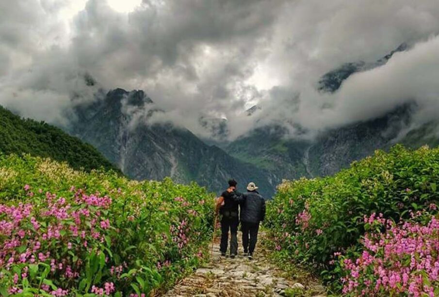 Valley-of-flowers