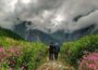 Valley-of-flowers